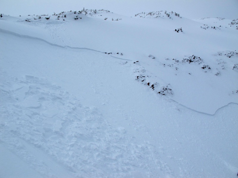 Human Triggered Avalanche Mt Blackmore 2-12-10