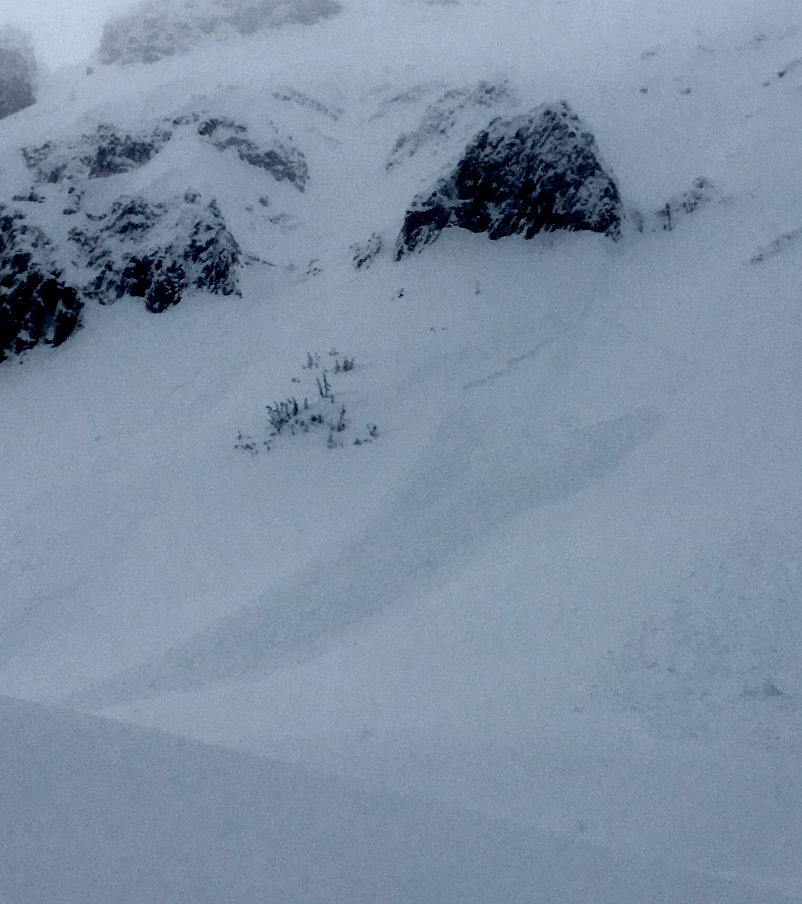 Natural Avalanche, Tepee Basin 3/1/17