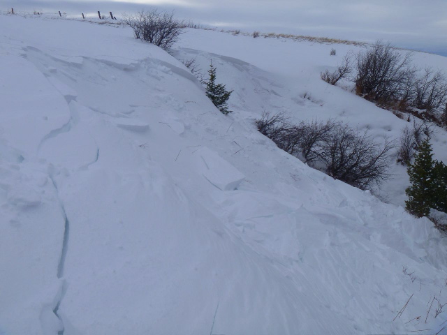 Dog triggered wind slab