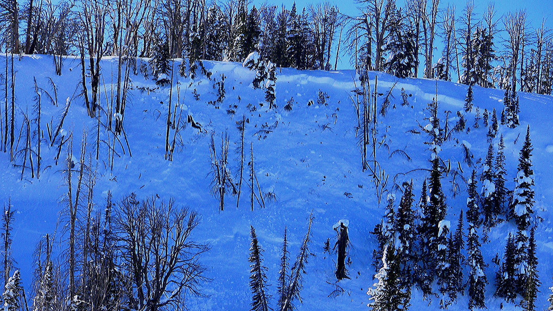 Taylor Fork - North Facing Avalalnche