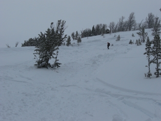 Beehive Basin Avalanche