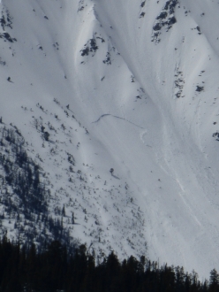 Slab Avalanche Fan Mountain - 4/9/16