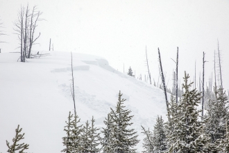 Avalanche near Lulu Pass road 2, Cooke 10-Feb