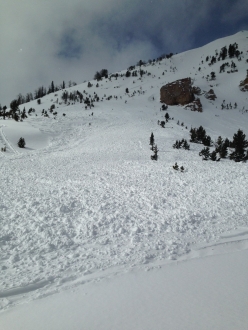 Lionhead Avalanche 